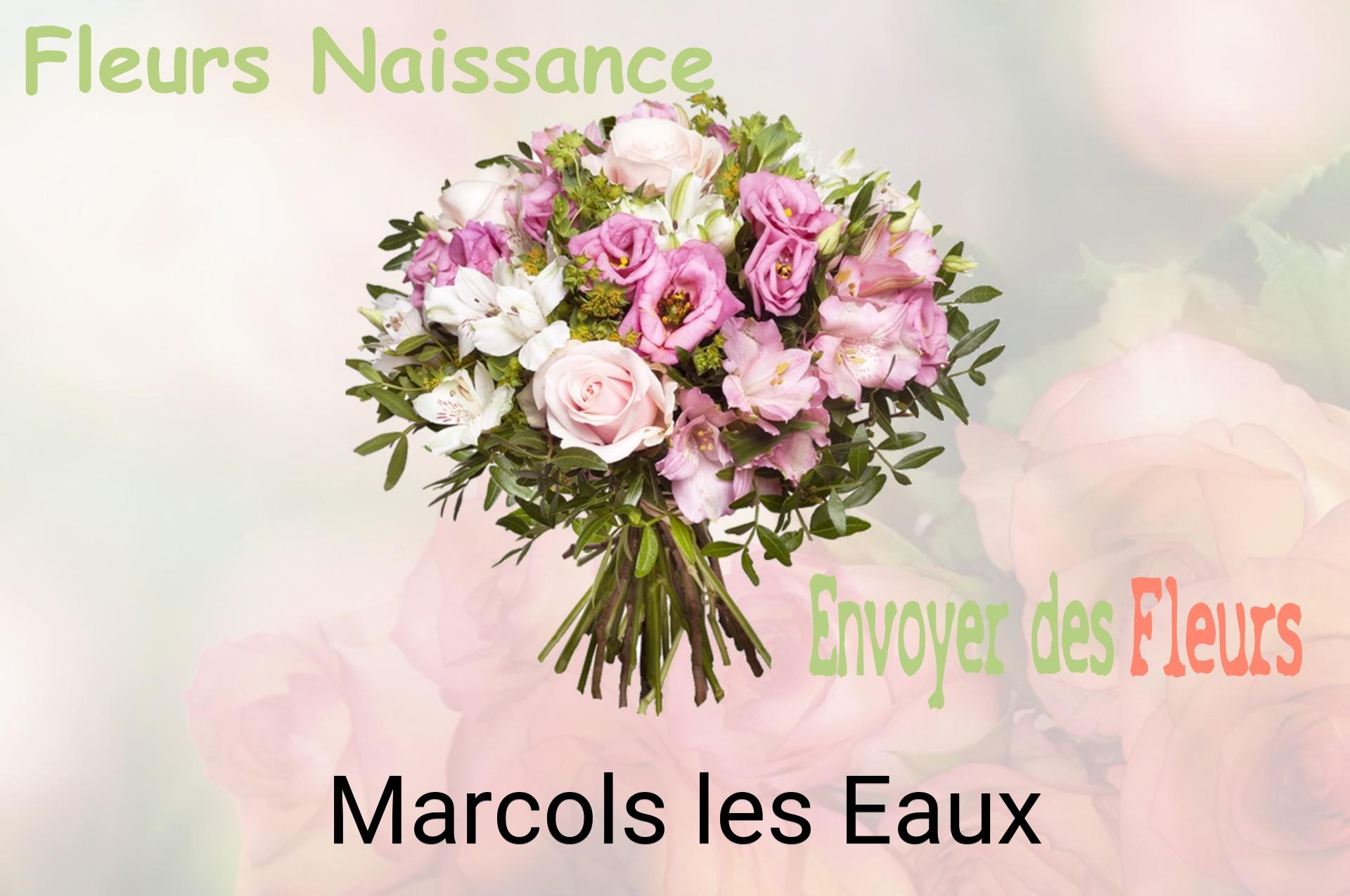 Bouquet de fleurs de naissance livré à Marcols-les-Eaux